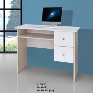 Study Work Table (Simple 2 Drawers)