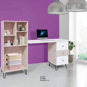 Study/Work Table (with Display Shelve)